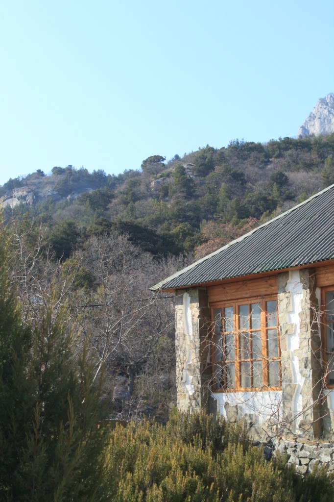 Катя Шереметева ***Grenouille heureuse*** | Nice