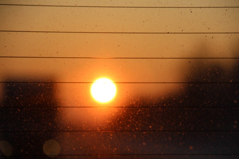 Михаил Савкин | Санкт-Петербург