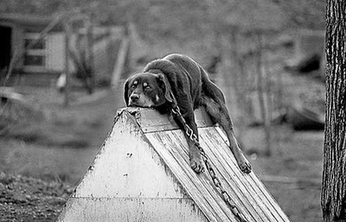 Павел Слепцов (Dutar26) | Львов