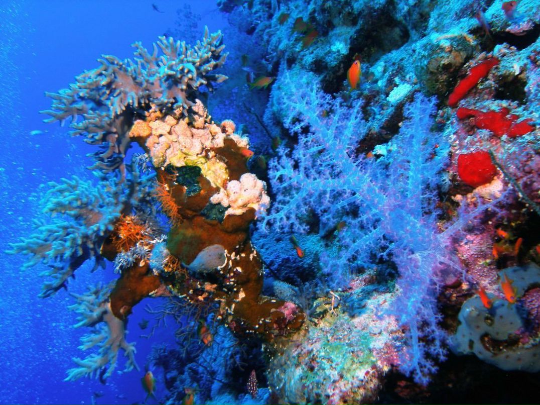 Леонид Сандалов | Санкт-Петербург