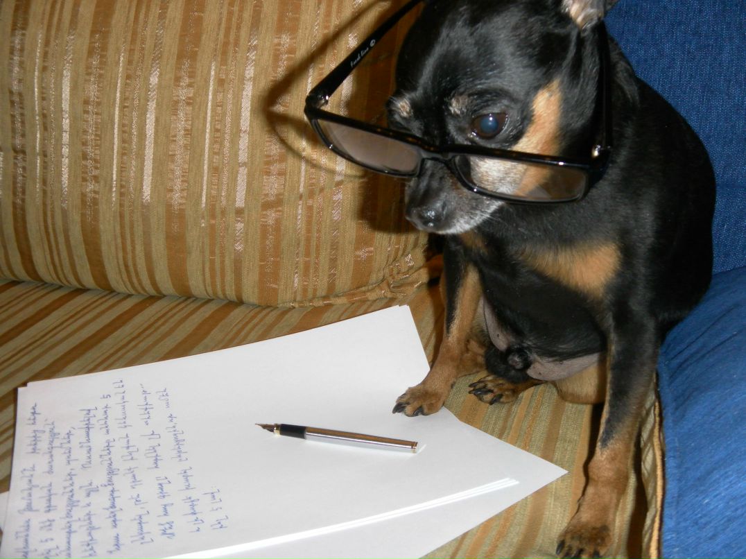 Екатерина Андреева | 