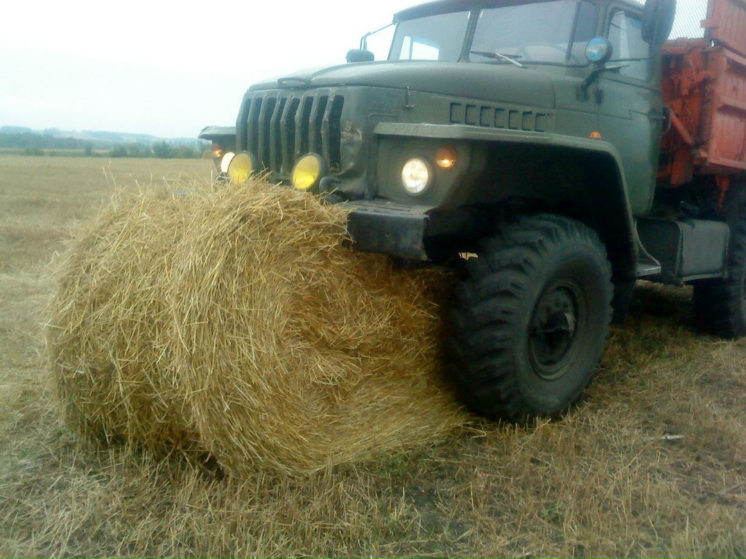 Павел Бударин Александрович | Los Angeles