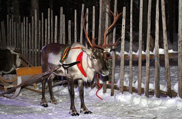Владимир Никин | Самара