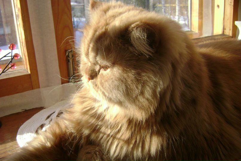 Татьяна Серая | Всеволожск