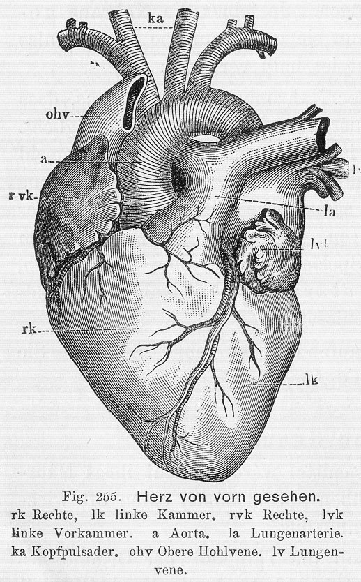 Olesia Soudiere | Metz