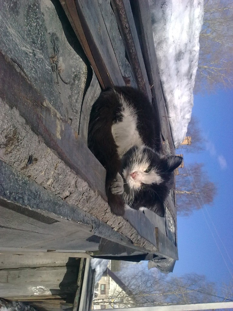 Лёня Пинаев | Няндома