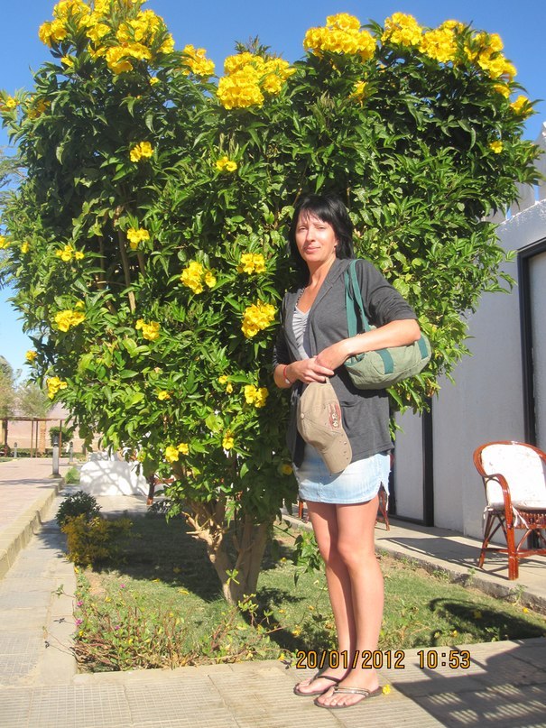 Жанна Левина | Щелково