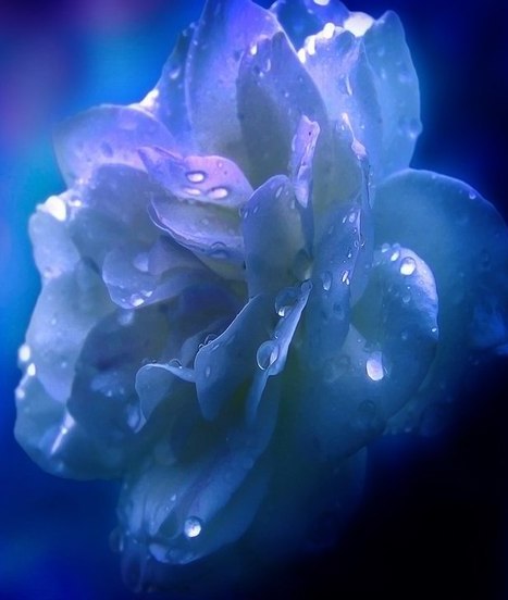 Анна Медведева | Санкт-Петербург