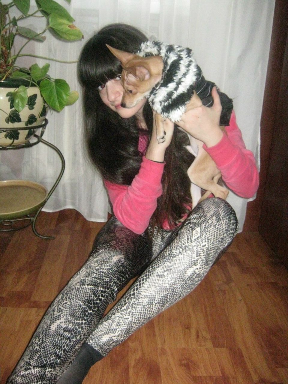 Майя Колбая | Москва