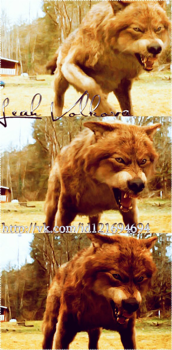 Elizabeth Swann | New York City