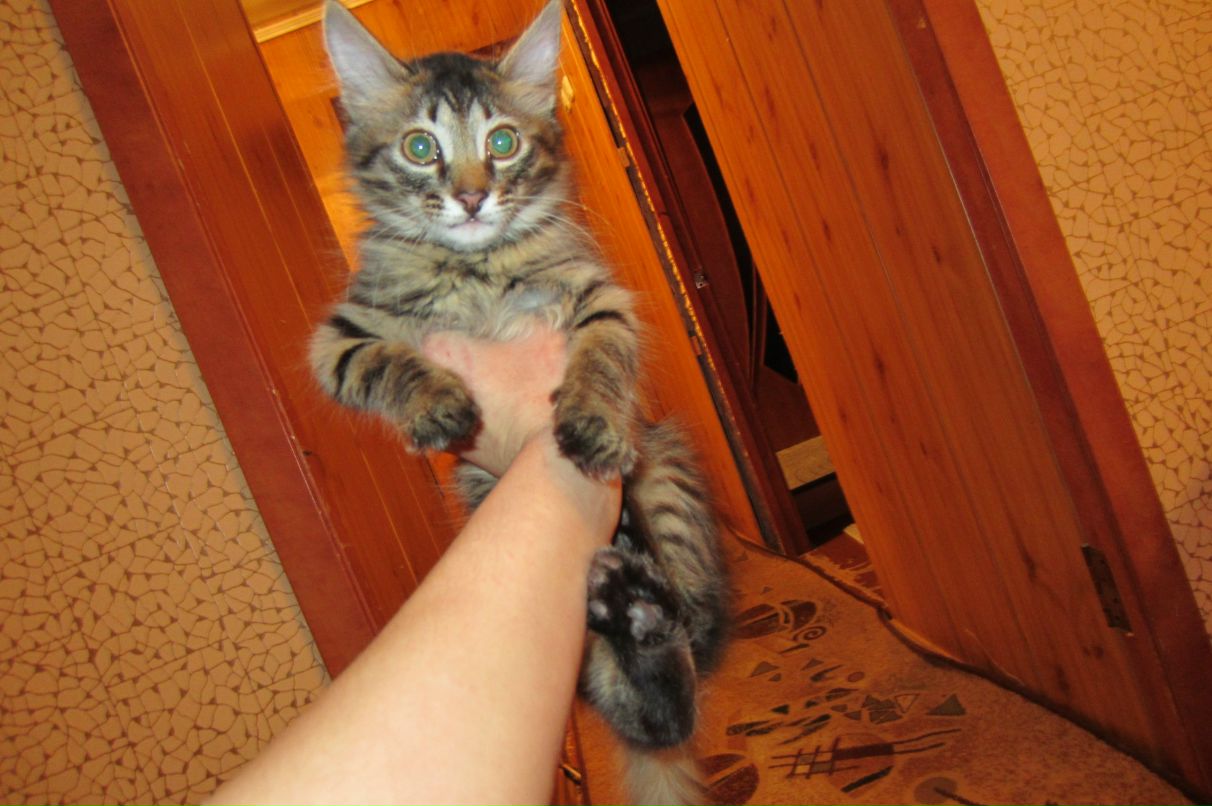 Юлия Дроздецкая | Железногорск