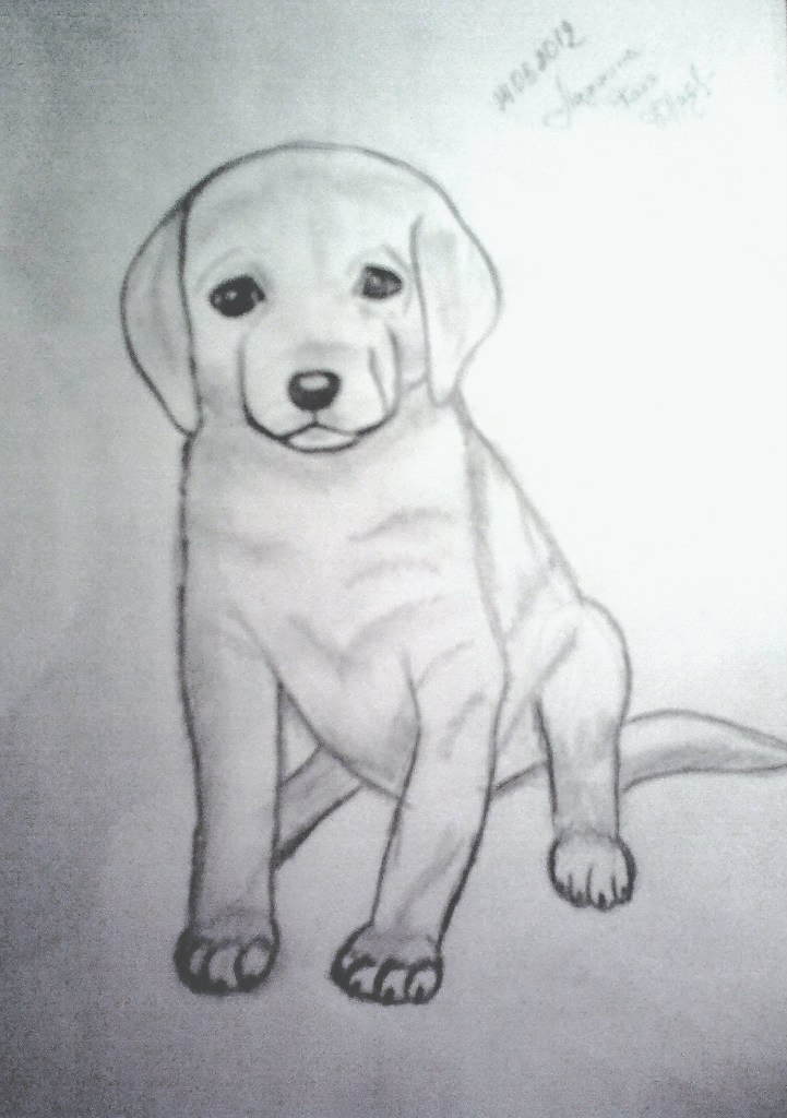 Екатерина Колцун | Сыктывкар