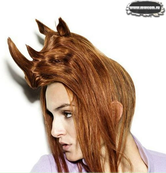 №14, Олинька Кальницкая, Киев №14, Олинька Кальницкая, Киев