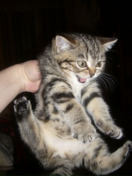 №50, Алена Бержанская-Алешкевич, 35 лет, Санкт-Петербург, Россия №50, Алена Бержанская-Алешкевич, 35 лет, Санкт-Петербург, Россия