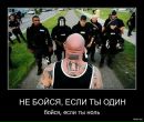 Фотография Мишка Шишкин
