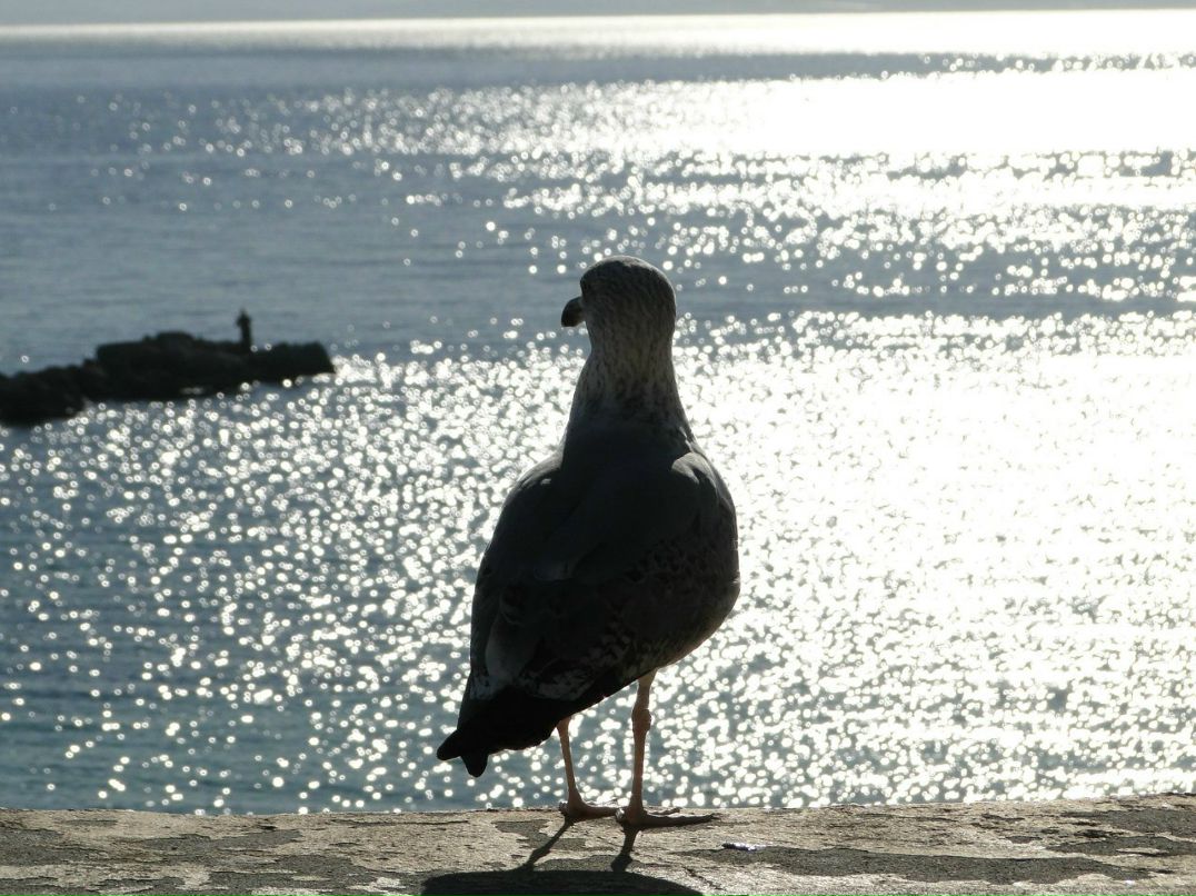 Андрей Сахненко | Нижний Новгород