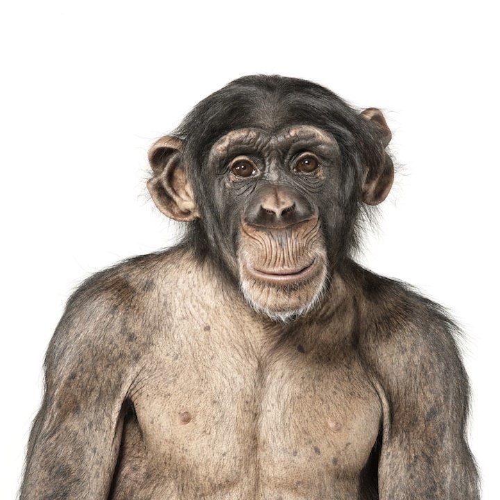 Иван Санин | 