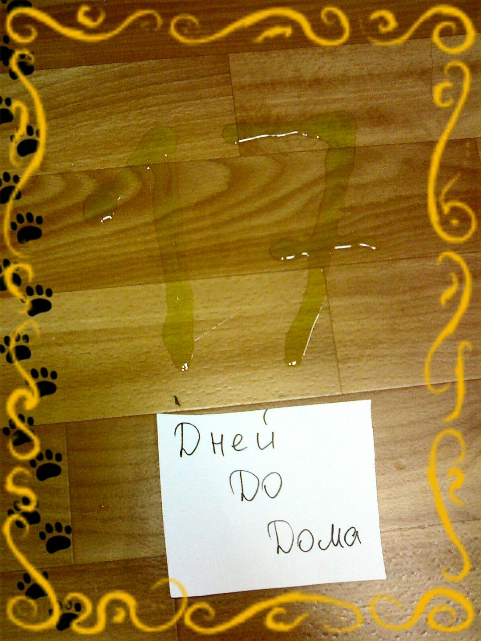 Серёга Гуторов | Санкт-Петербург