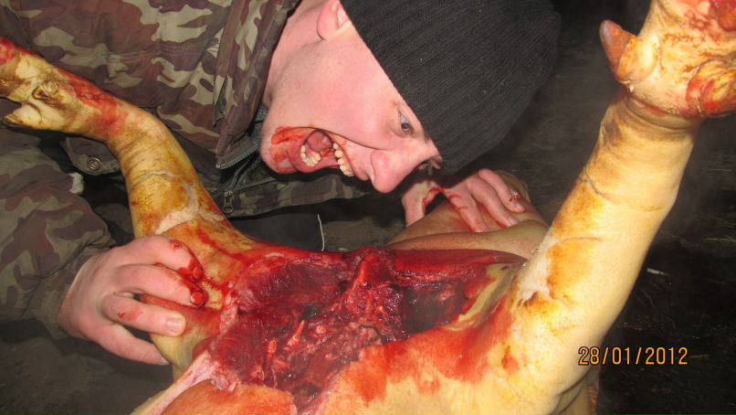 Андрей Вигулярный | Днепр (Днепропетровск)