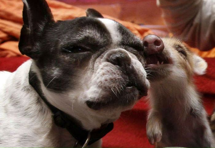 №97, Sveta Fossa, Санкт-Петербург №97, Sveta Fossa, Санкт-Петербург