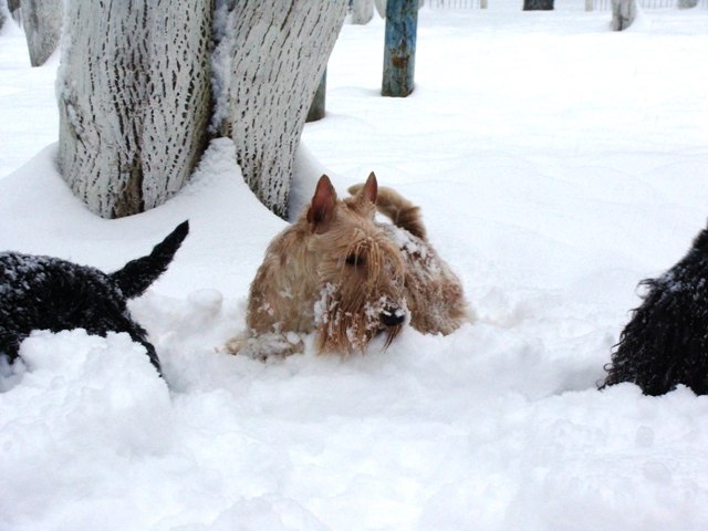Алла Дердюк | Хмельницкий