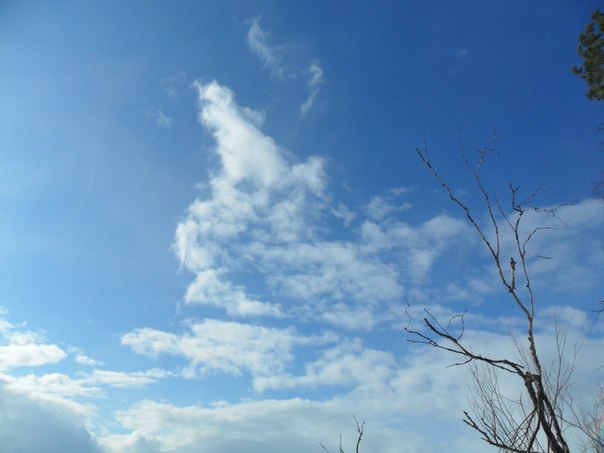 №41, Татьяна Михеева-Яковлева, 60 лет, Череповец №41, Татьяна Михеева-Яковлева, 60 лет, Череповец