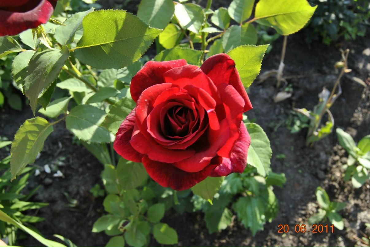 Татьяна Гуртовая | Харьков