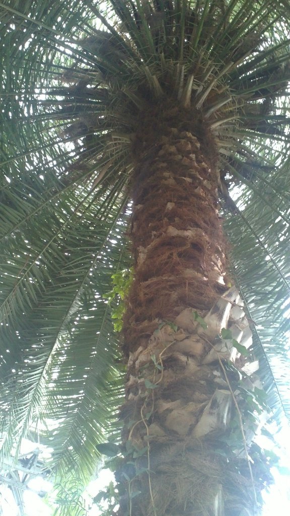 Ольга Михайлова-Суфьянова | Санкт-Петербург