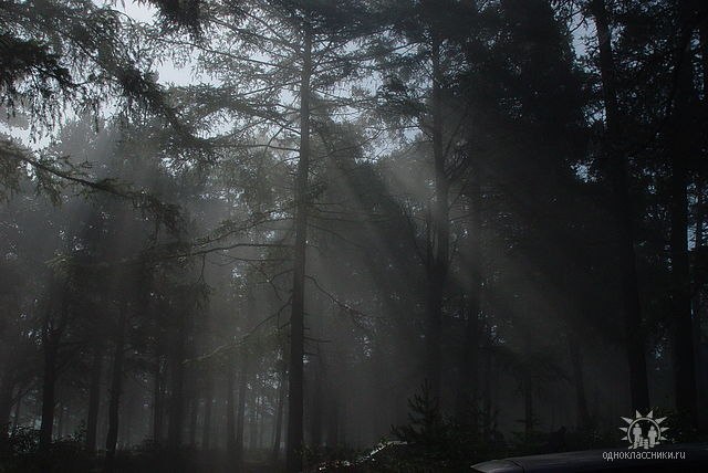 Дмитрий Жебровский | Иркутск