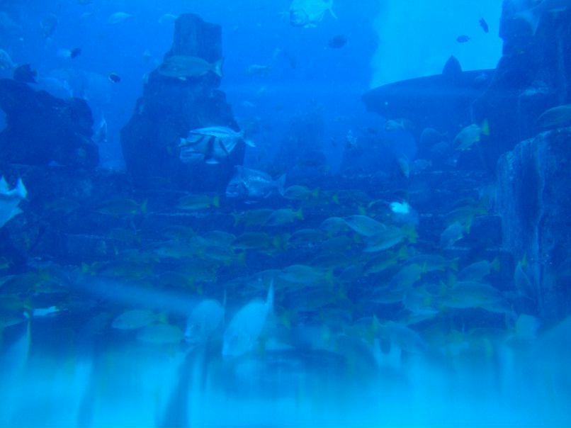 Серёга Агафонов | Харьков