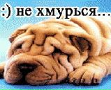 Фотография Анатолій Сухоставець