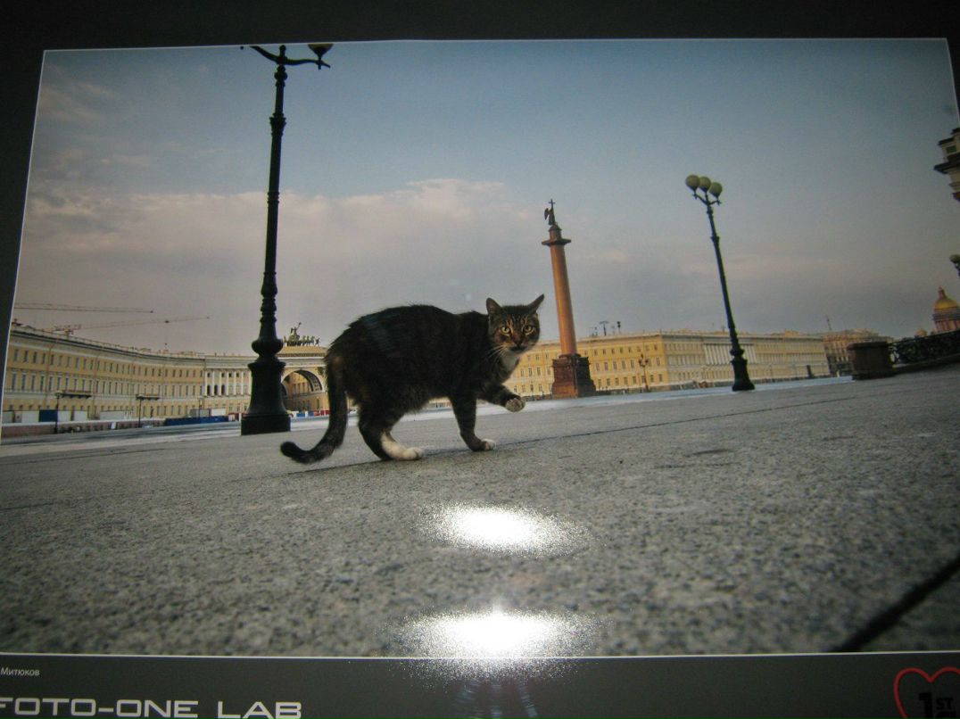 Елена Багрова | Санкт-Петербург