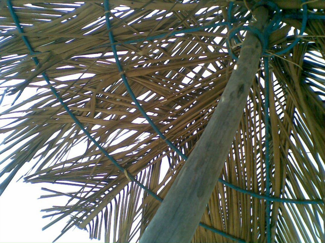 Александра Сашнева | Москва