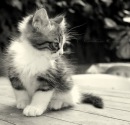 Фотография Фёдоровой Эллы