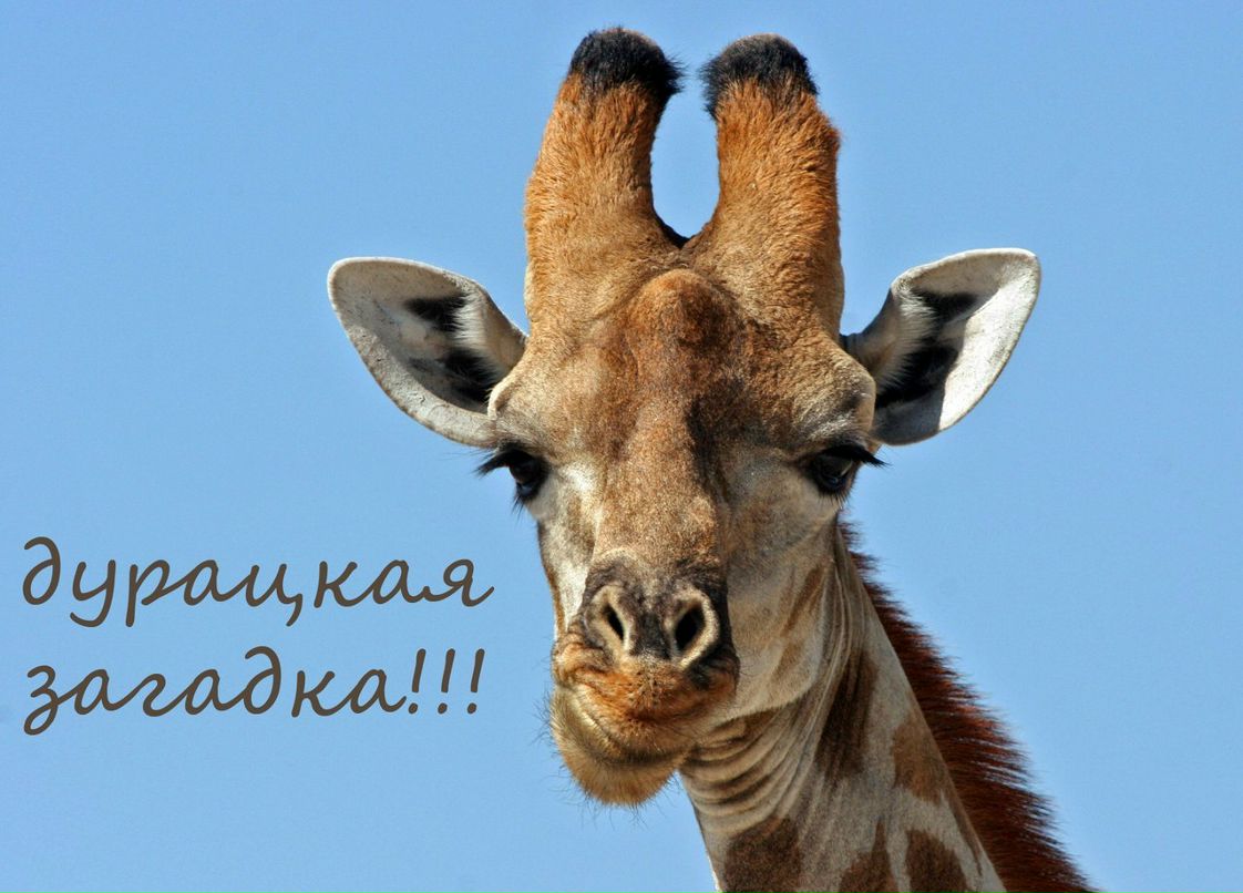 Тоня Корепанова | Екатеринбург