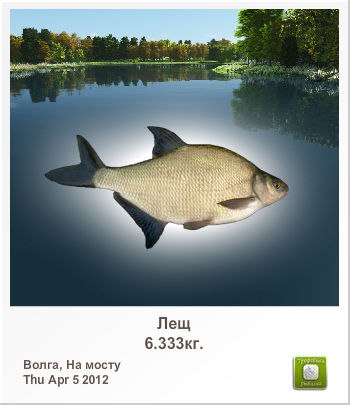 Александр Андреев | 