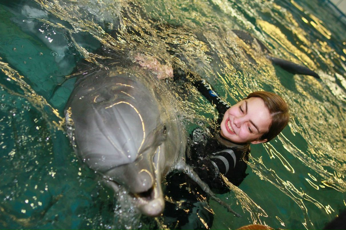 Роман Степанов Андреевич | Ярославль