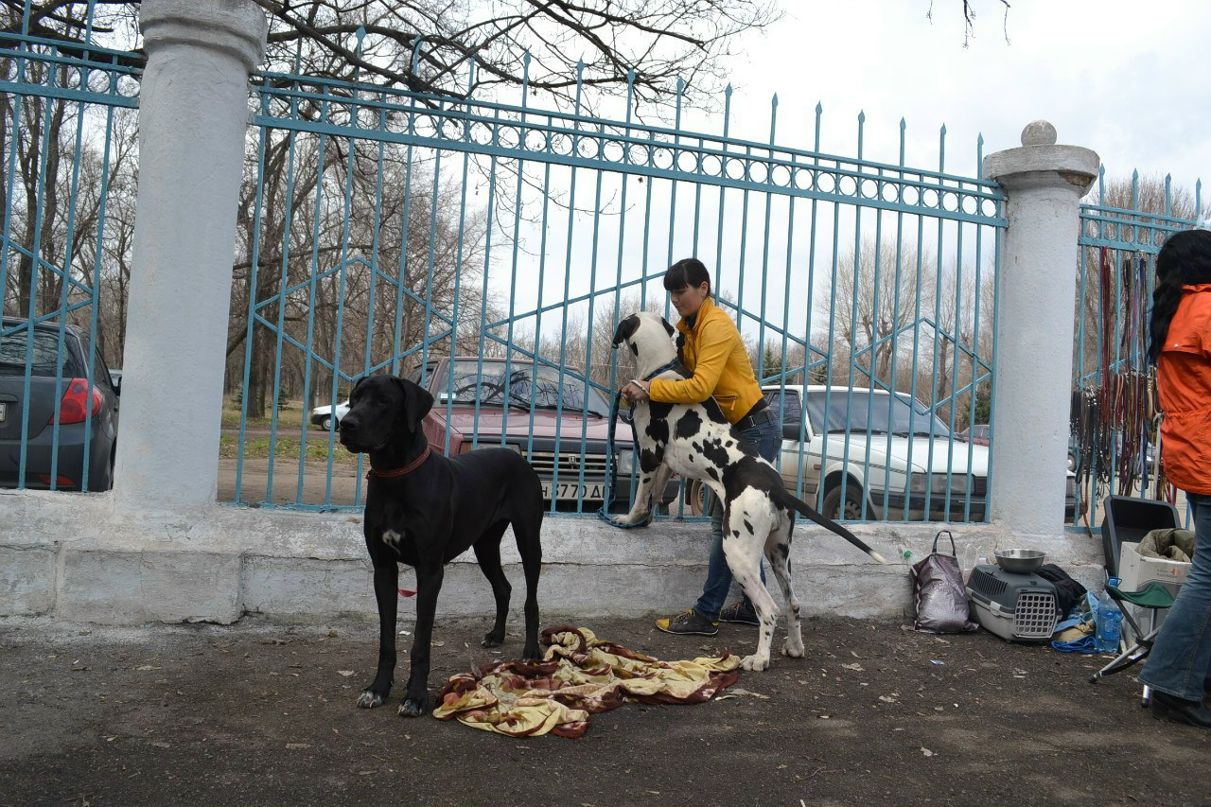 Вероника Малыхина (Сергеева) | Кривой Рог