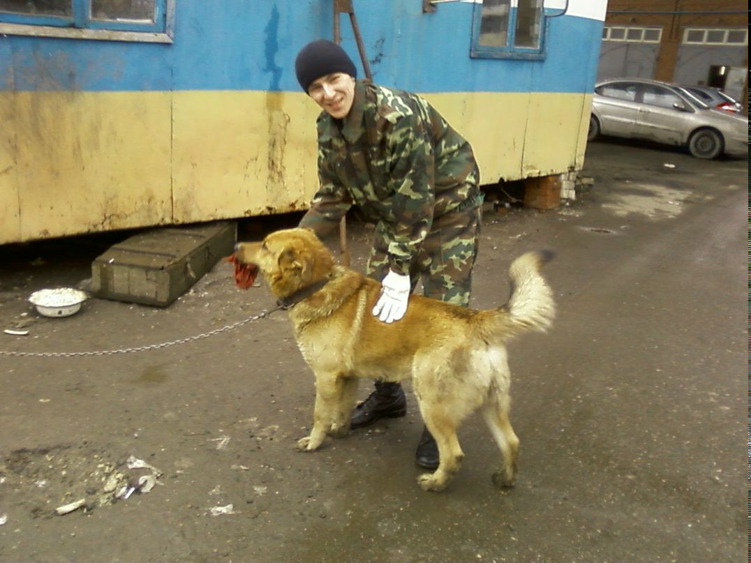 Дмитрий Перов | Йошкар-Ола