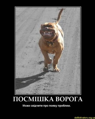 №7, Роман Бобровіцький №7, Роман Бобровіцький