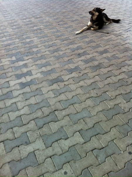 №66, Alexey Borisov №66, Alexey Borisov