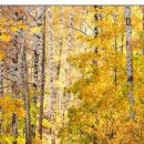 №132, Олег Водинов, Череповец №132, Олег Водинов, Череповец