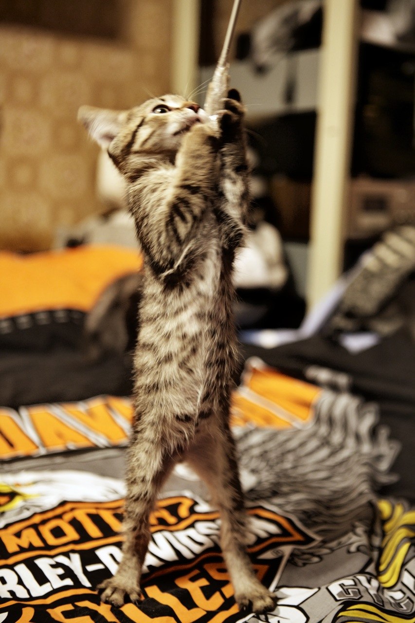 Юлия Кудрявцева | Москва