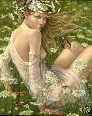 Андрей Журба | Севастополь