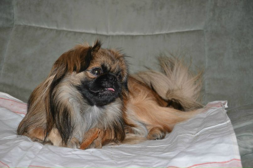 Николай Никонов _Юрич_ | Тюмень