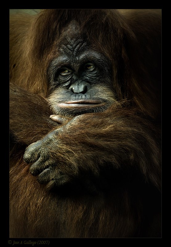 Евгений Иванов | Челябинск