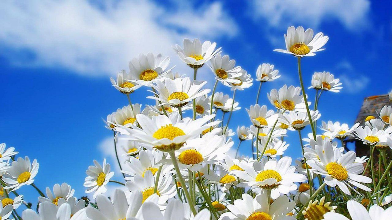 Андрей Валяев | Киров