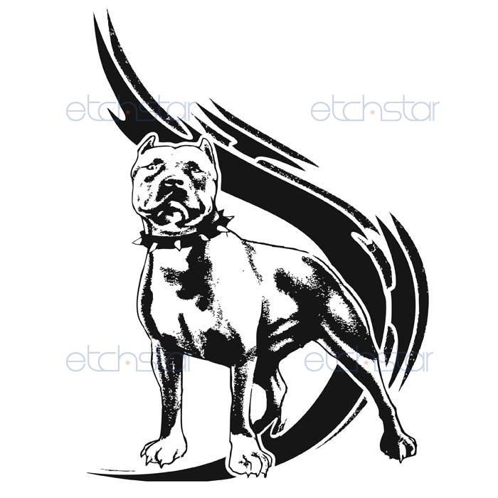 Тарас Кіба | Дрогобыч