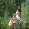 Аватар: Анастасия Жарцова