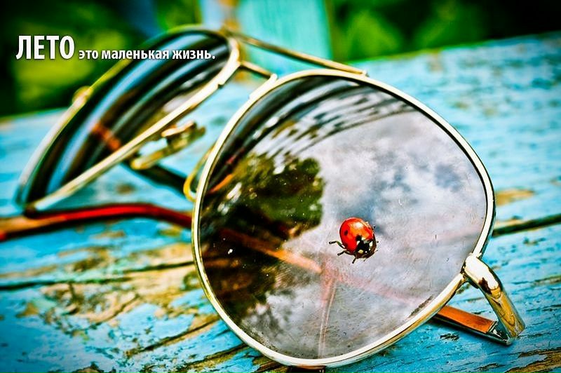 №120, Яна Крупина, Киев №120, Яна Крупина, Киев